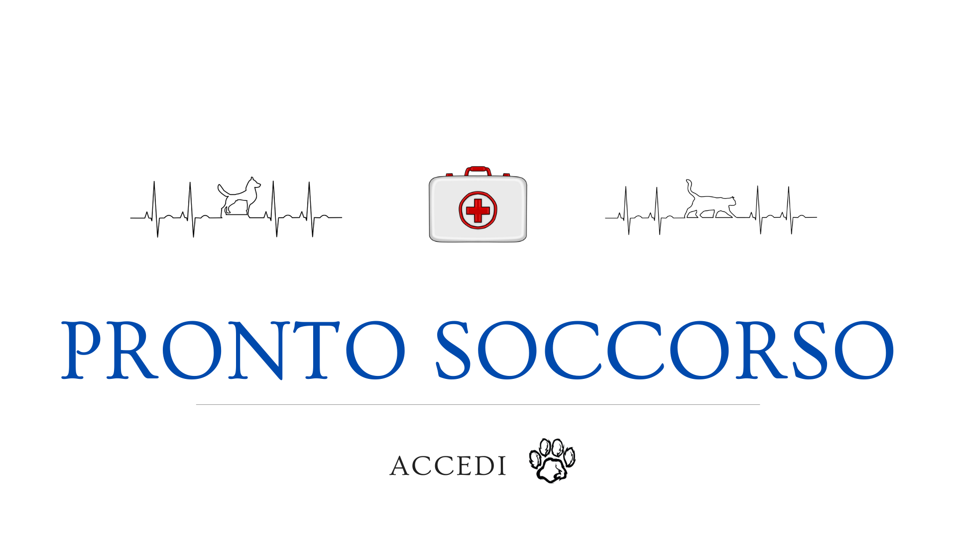 pronto soccorso animali__1