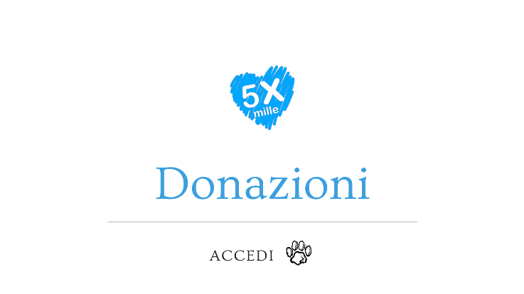 DONAZIONI