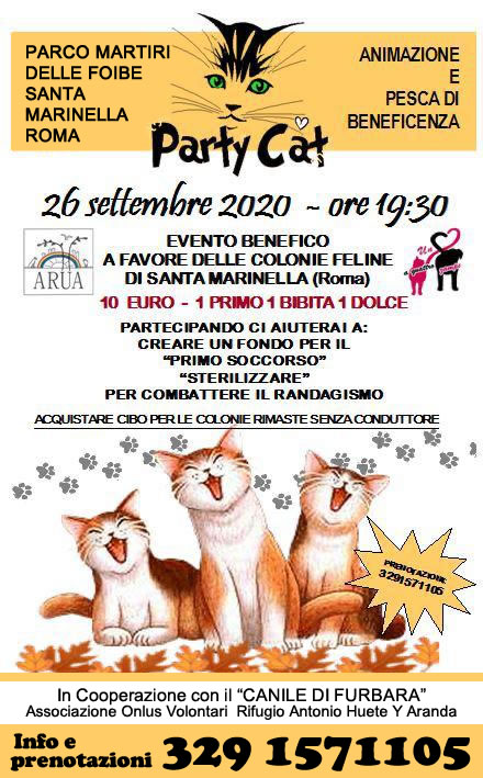 Party-cat2.2