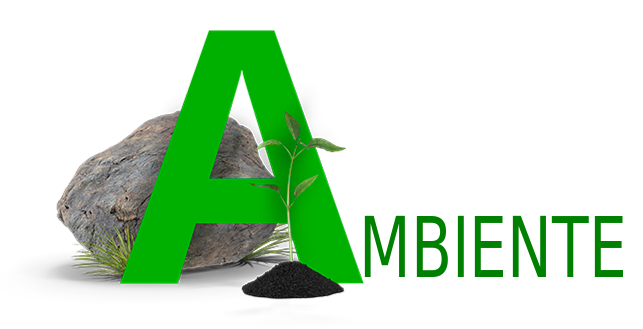 ambiente1_1